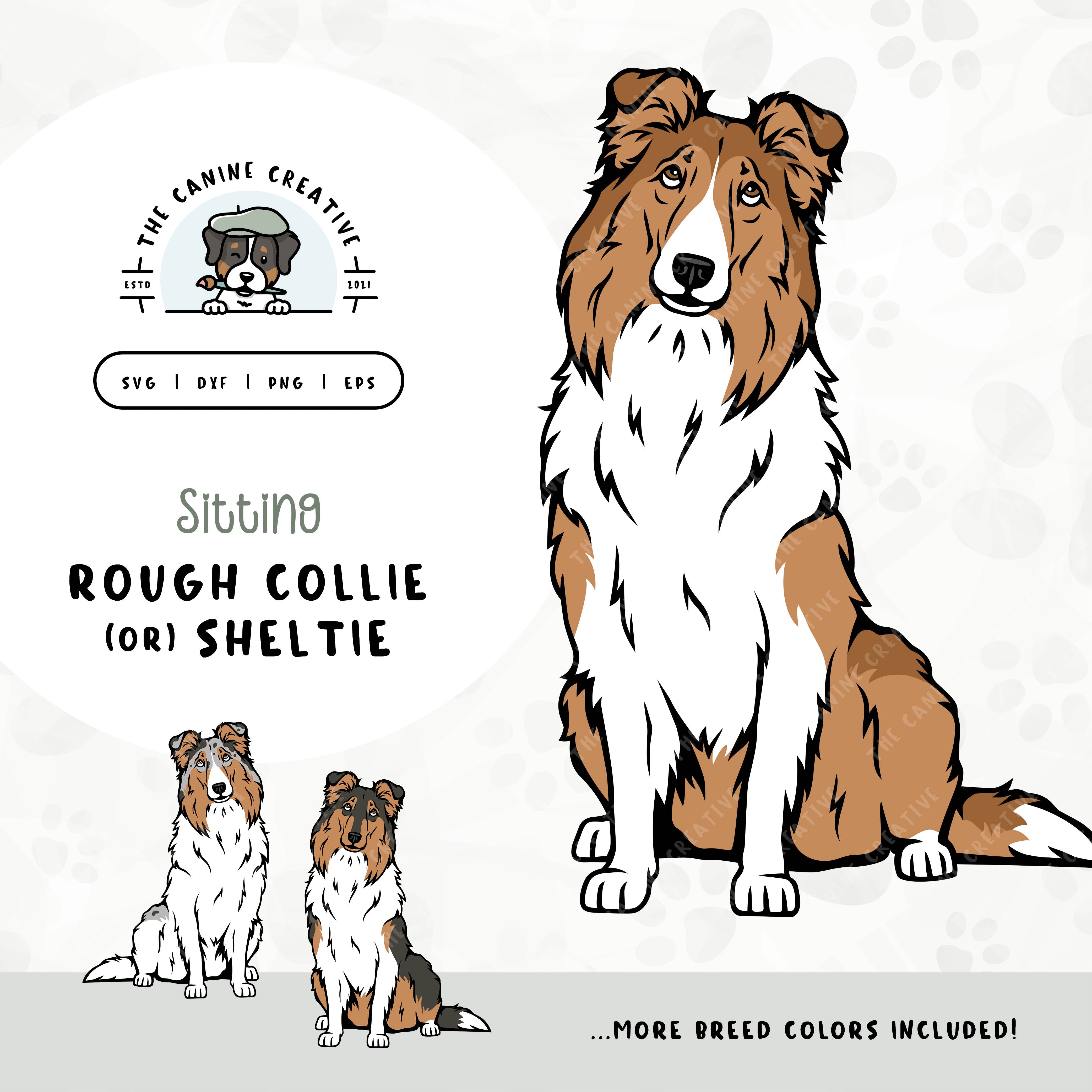 This hand-drawn, illustrated design bundle features various colors of sitting Rough Collies or Shetland Sheepdogs. File formats include: SVG, DXF, PNG, and EPS.